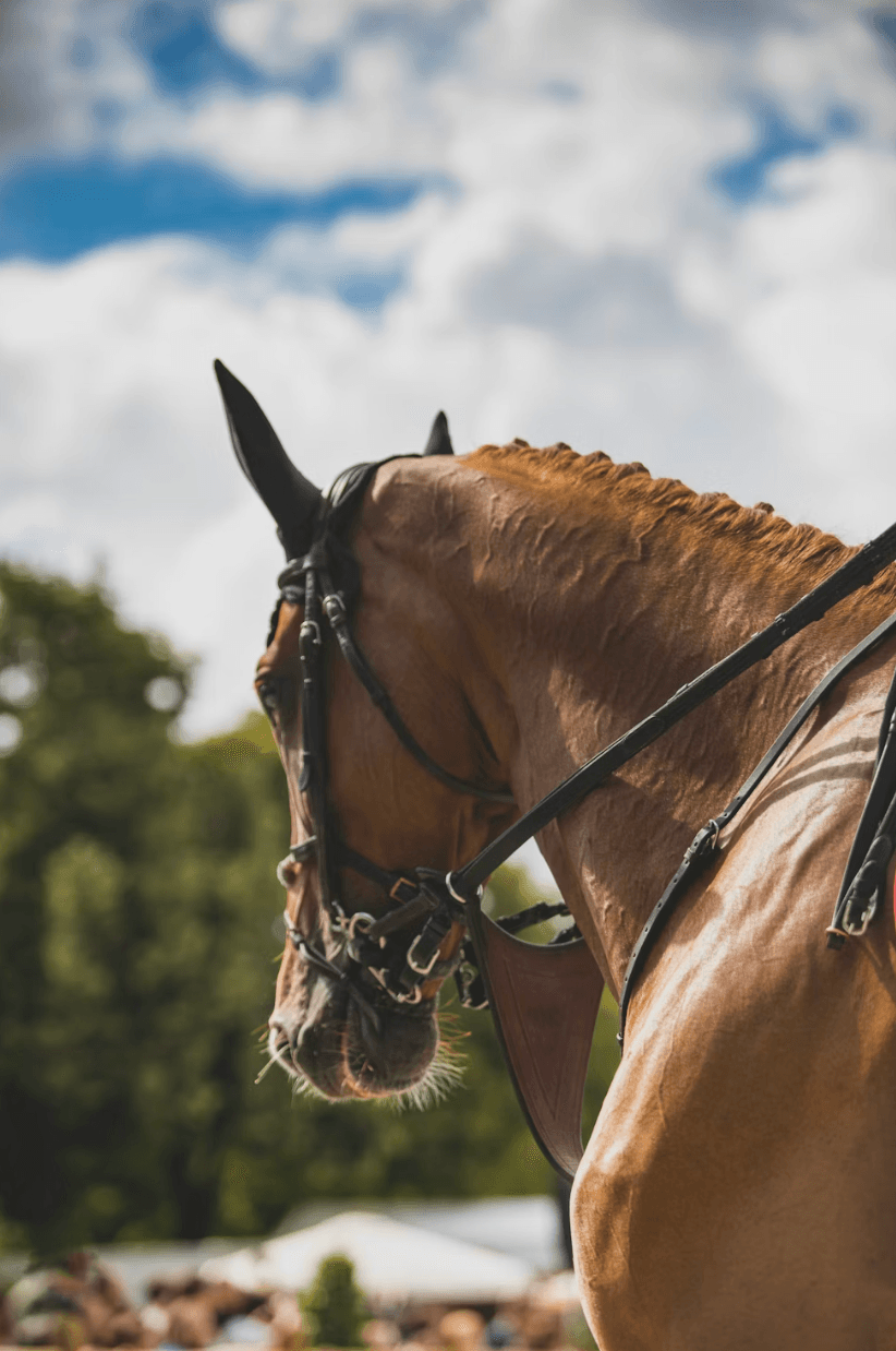 Scoring de performance : méthodologie et cas d'usage